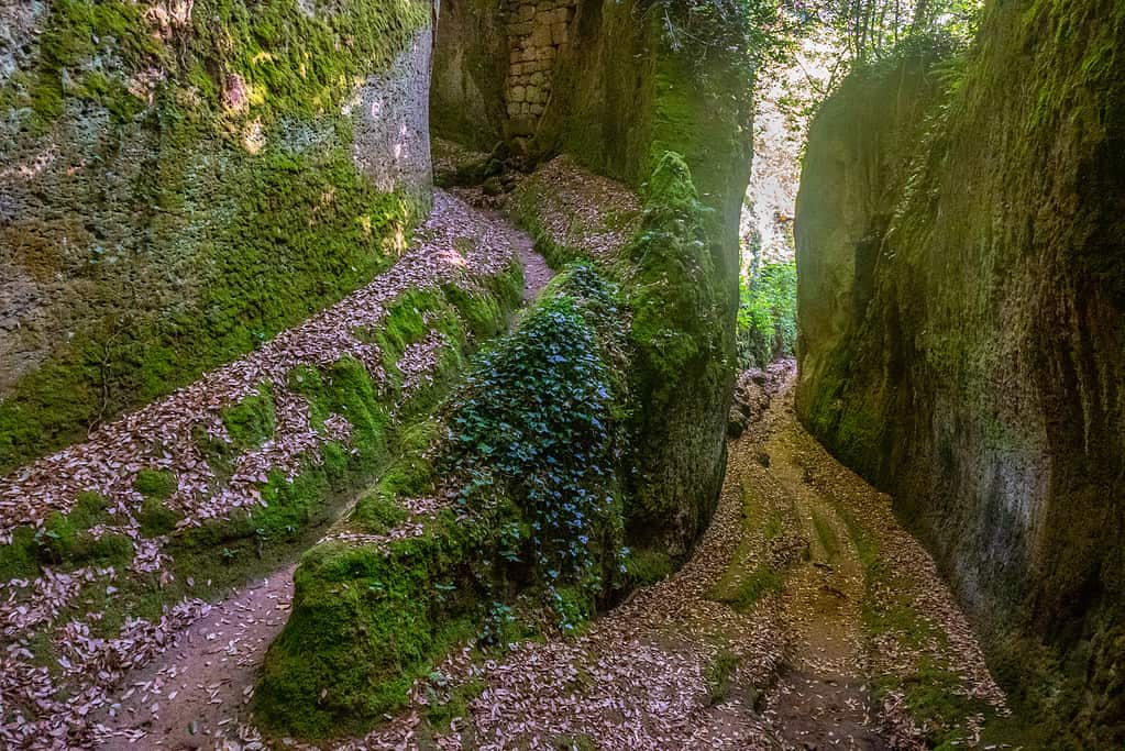 Vie Cave
